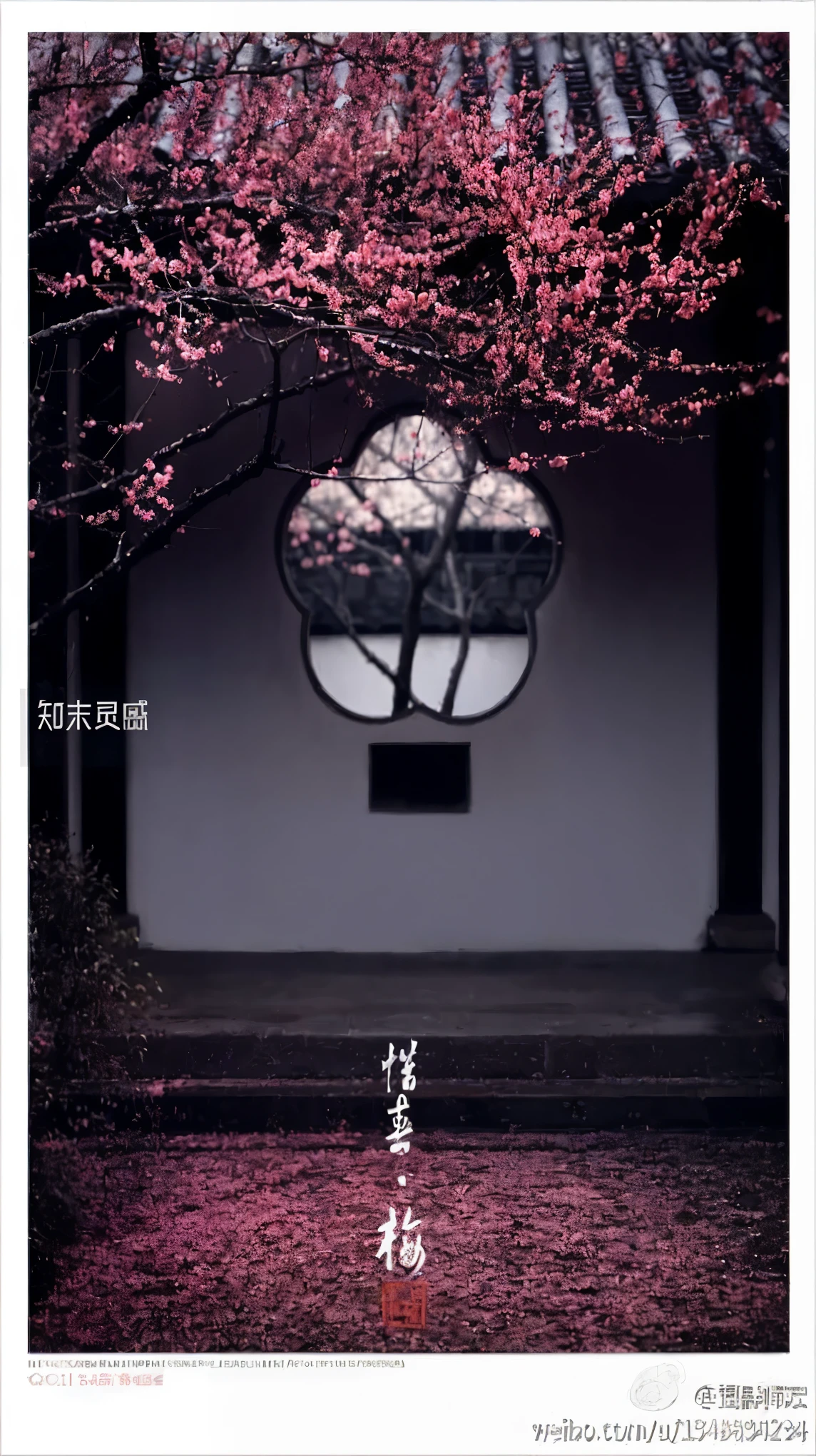 Close-up of a tree with peach blossoms in front of a Chinese-style courtyard building , pink zen style, Inspired by Ito Jakuchi