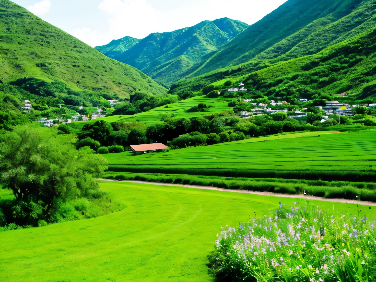 The valley we live in is lush and green,Greenery,greening