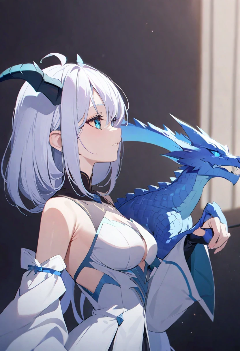 ((best quality)), ((Meisterwerk)), (Detailliert), Perfektes Gesicht, 1 girl, silver hair, blue eyes, medium chest, nude, 1 dragon, black, blue eyes, sex, on the maket