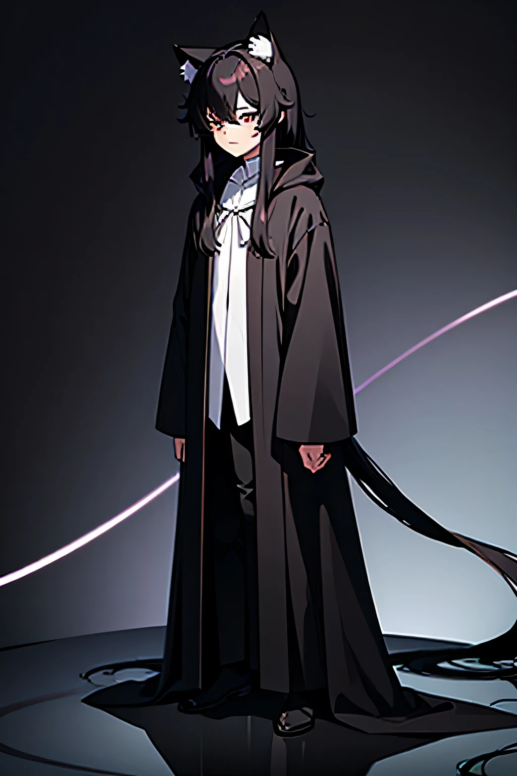 neko, anime boy, cat ears, noble, shadow mage, long black hair, blank background, black robe, standing