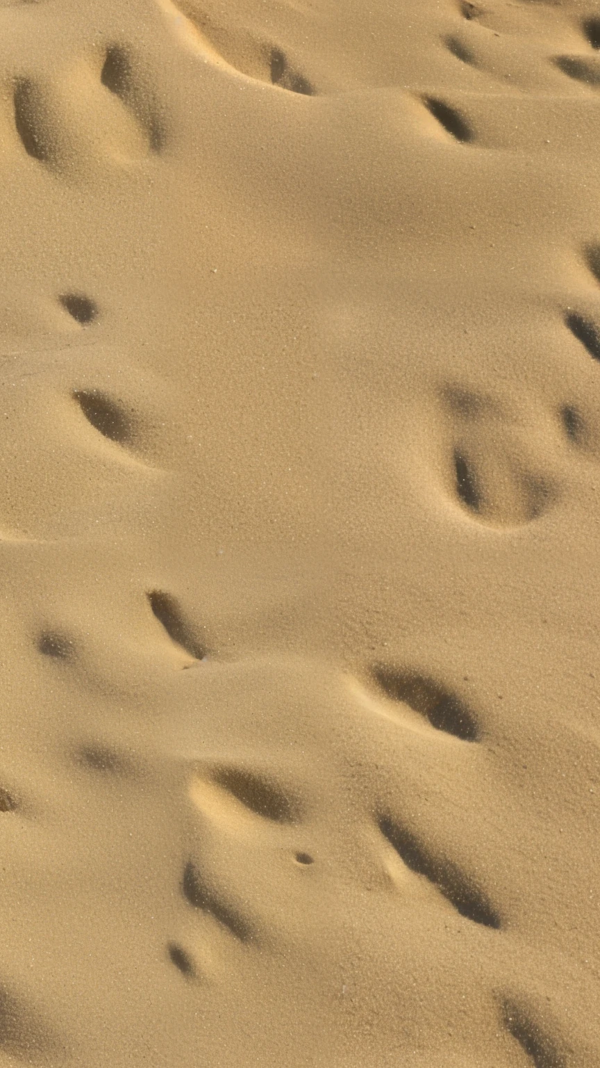 Closeup of sand beach, zoom200x, ignore: v2.1