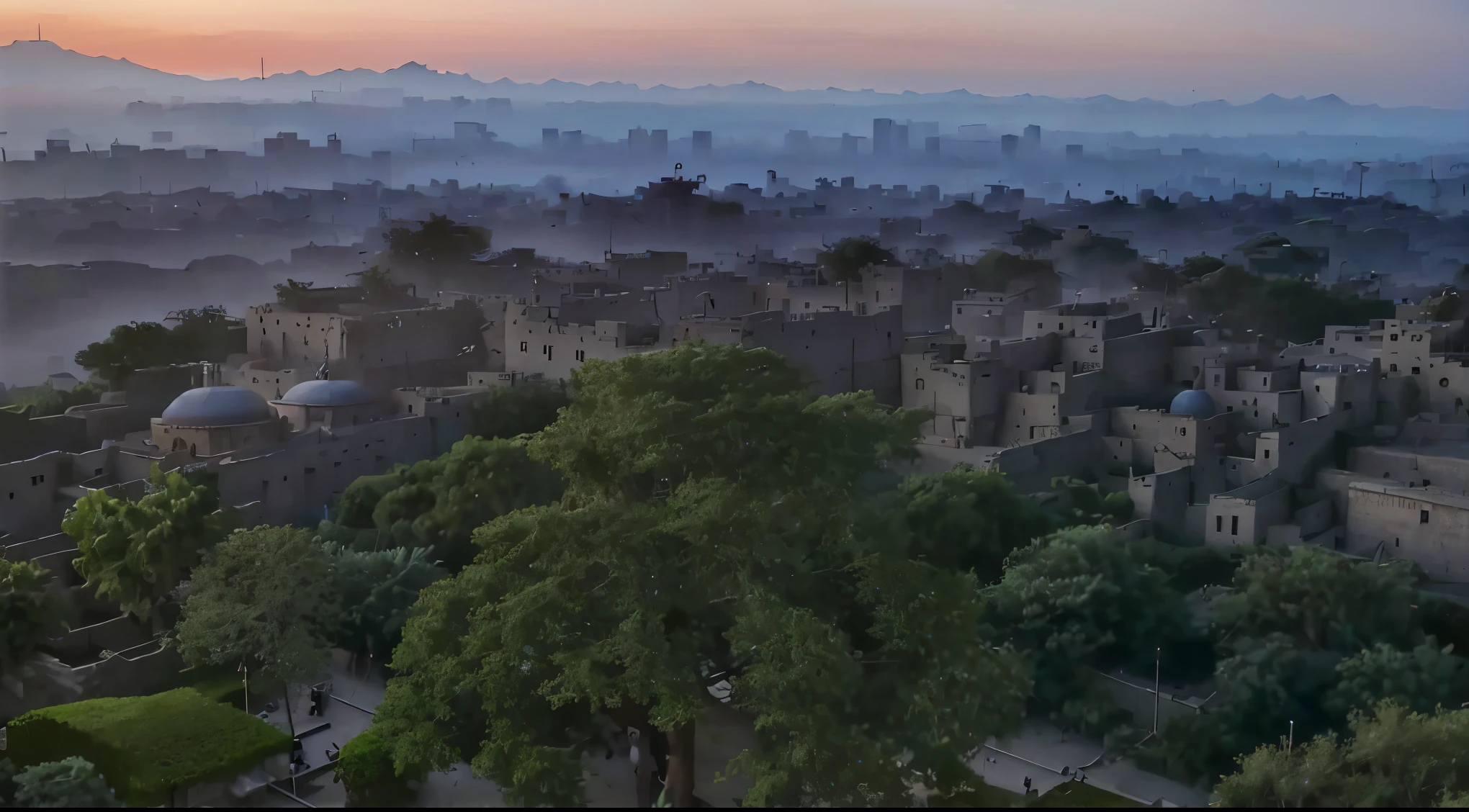 View the entire city from the top of a giant tree,World Tree,early morning,Egypt,ancient,narrow,shabby,blue tint,The room was small,