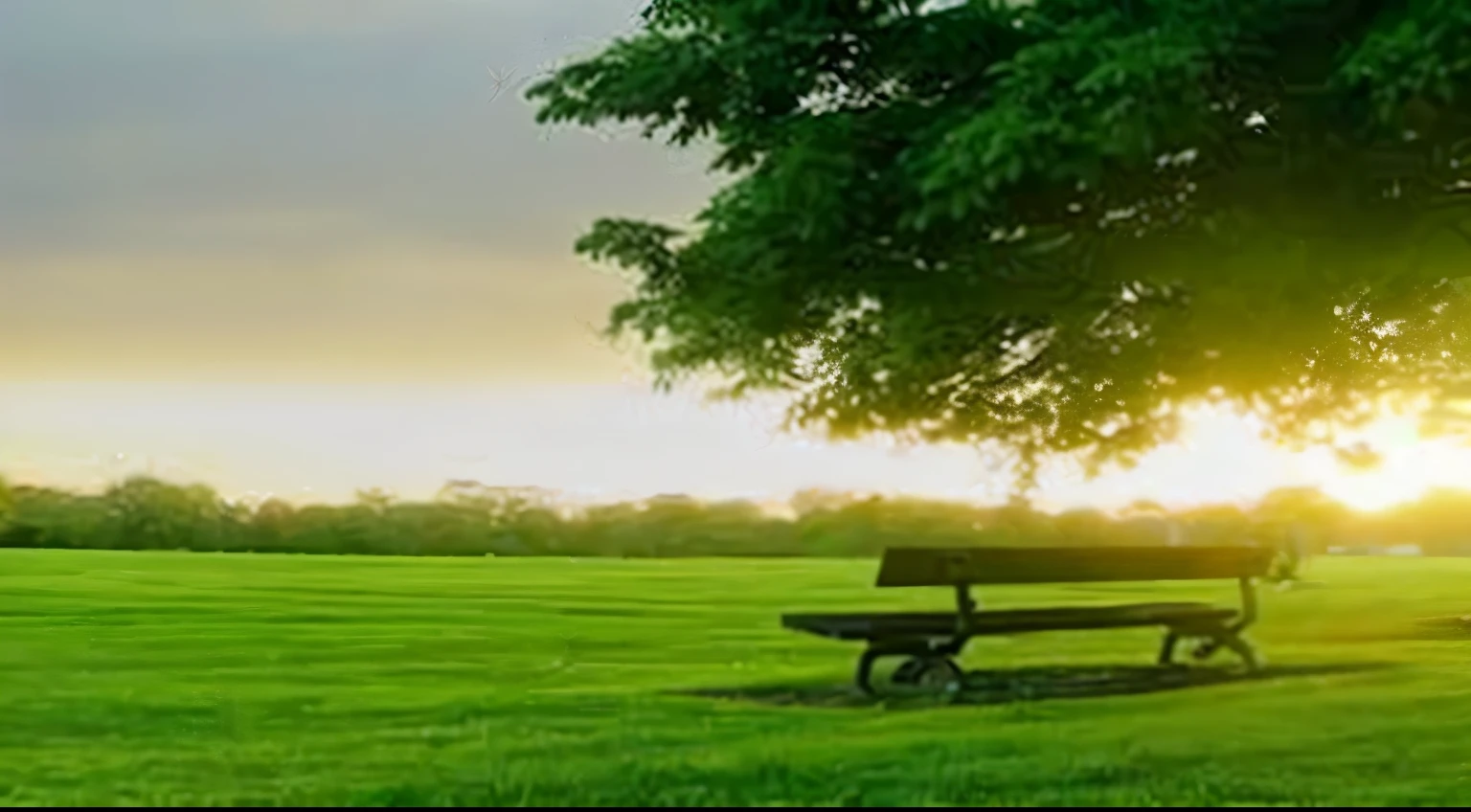 arafed park banco in a field with a tree and sun, sit on a banco, ambiente tranquilo, green spaces, ambiente sereno, peaceful scene, peaceful atmosphere, ambiente tranquilo e sereno, Belo ambiente, lindo lugar, em uma suave luz verde do amanhecer, ambiente ensolarado, sitting on a park banco, banco, peaceful and serene, na suave luz verde do amanhecer