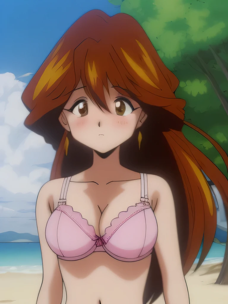 It is, 1 girl, alone, In underwear, long hair, slender body, belly button, brown eyes, white ruffle bra, expensiveleg, big breasts, brown hair, white panties,, looking at the viewer, blush, cowboy shot, redhead,  texpensive gap, camel toe, beach,
1990s \(style\), (anime, anime_screen cap, animeーション化された gif, mp4 ,video), (animeーション化された), (masterpiece, expensive quality), very_expensive_solve, big_file size, full color, 
masterpiece, expensive quality, very_expensive_solve, big_file size, full color,