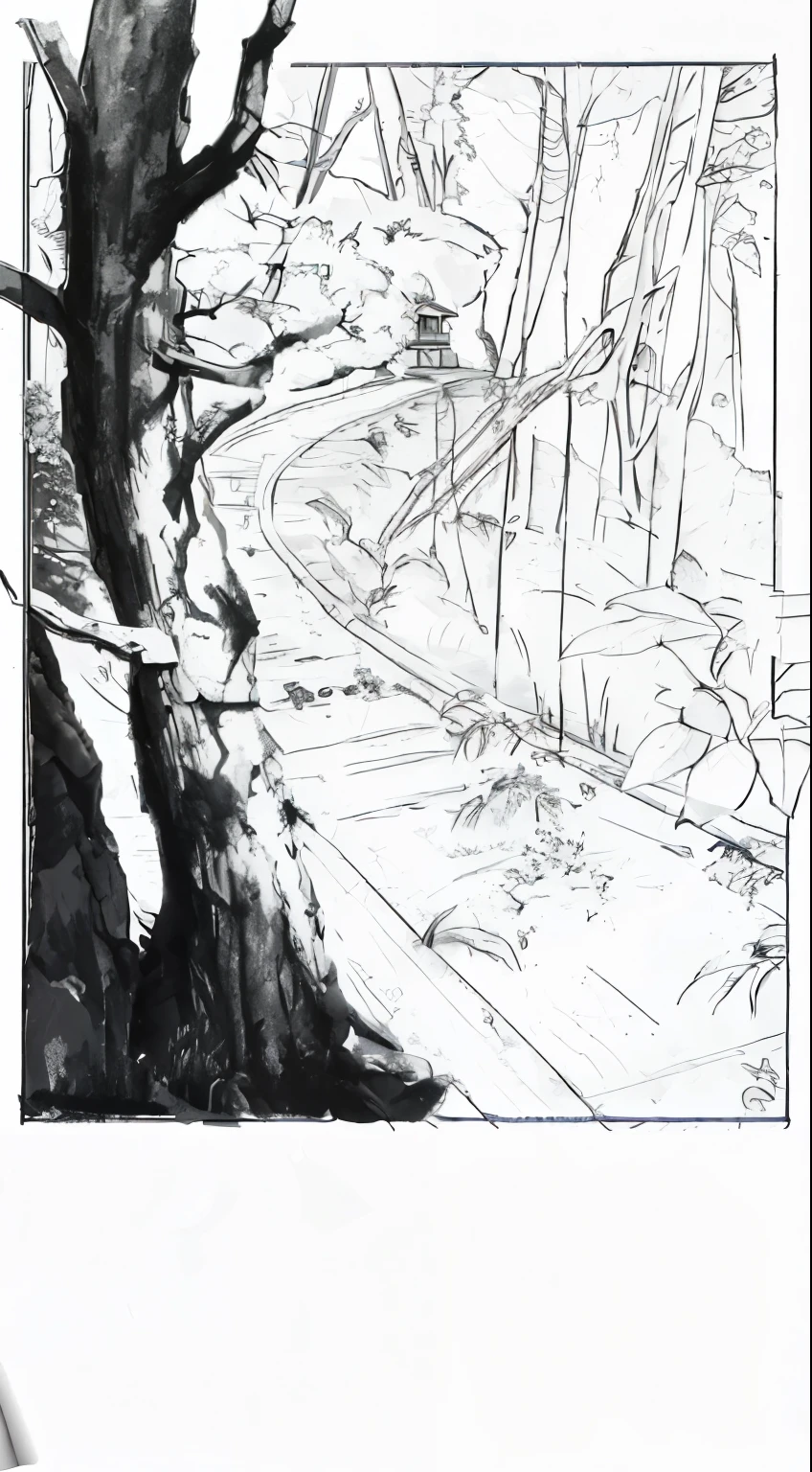 Draw a tree in the forest，There is a path in the background, Detailed pencil drawing, Detailed trees and cliffs, Full page illustration, Inspired by Franklin Booth, rough sketch, Full page illustration, pencile and ink, Concept works, Detailed but rough, Very detailed sketch, Inspired by Bernie Wrightson, jungle environment, concept art, Composition research, jungle clearing，broken stone road，lots of trees，The first half of the screen is clear，The second half is brief，Storyboard design，black and white，line，barren