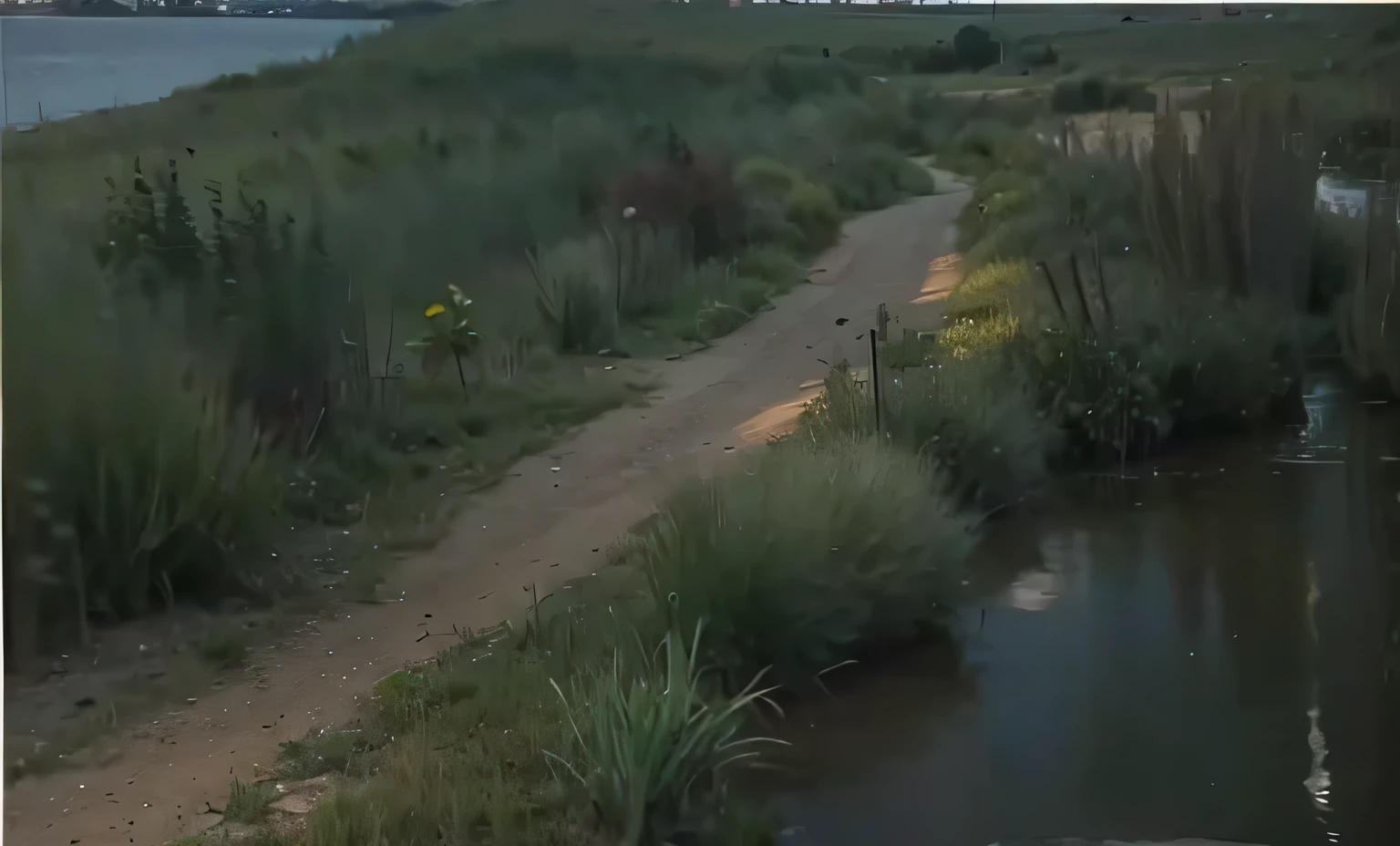 path，dirt road，Lots of grass，Lots of vegetation，small amount of water