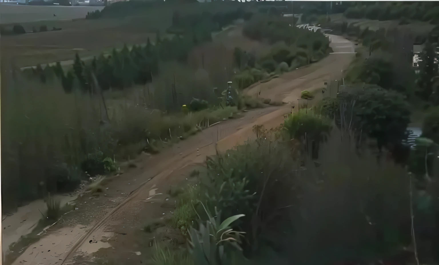 path,dirt road,Lots of grass,Lots of vegetation,small amount of water
