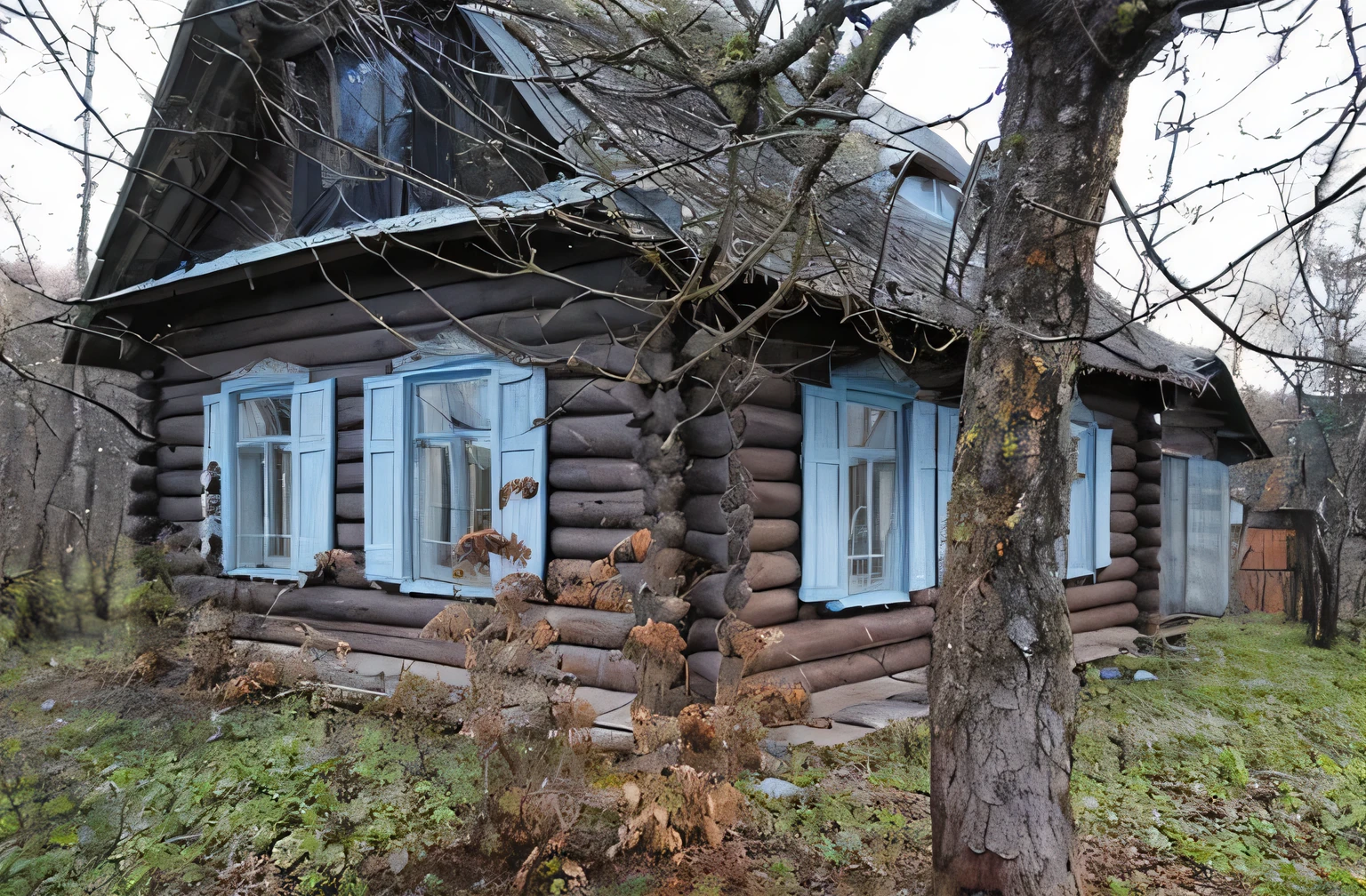house in the forest with a woman