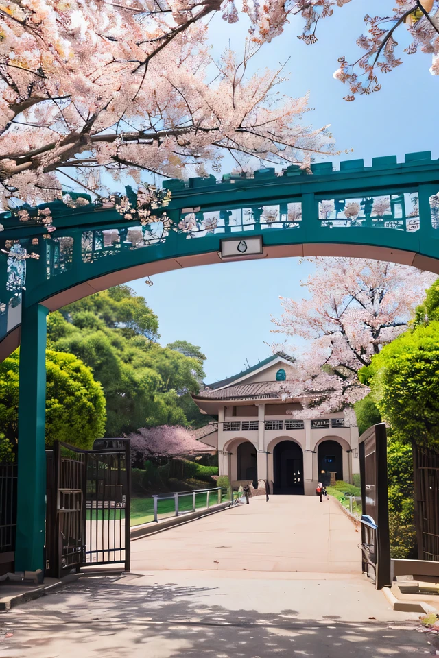 The university’s main gate with cherry blossoms blooming at 1 o’clock:1 ratio