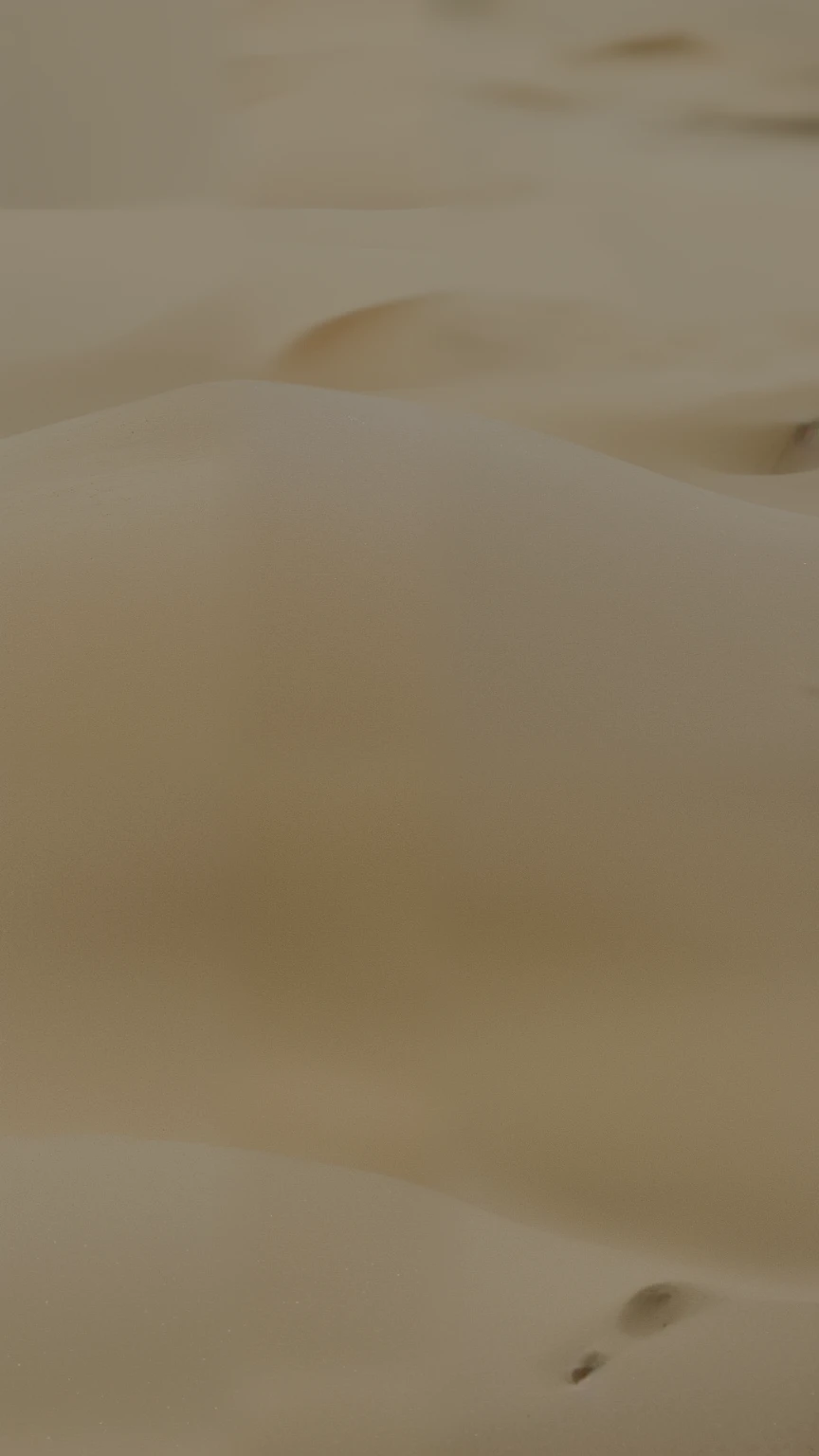 Closeup of sand beach, zoom200x, ignore: v2.1