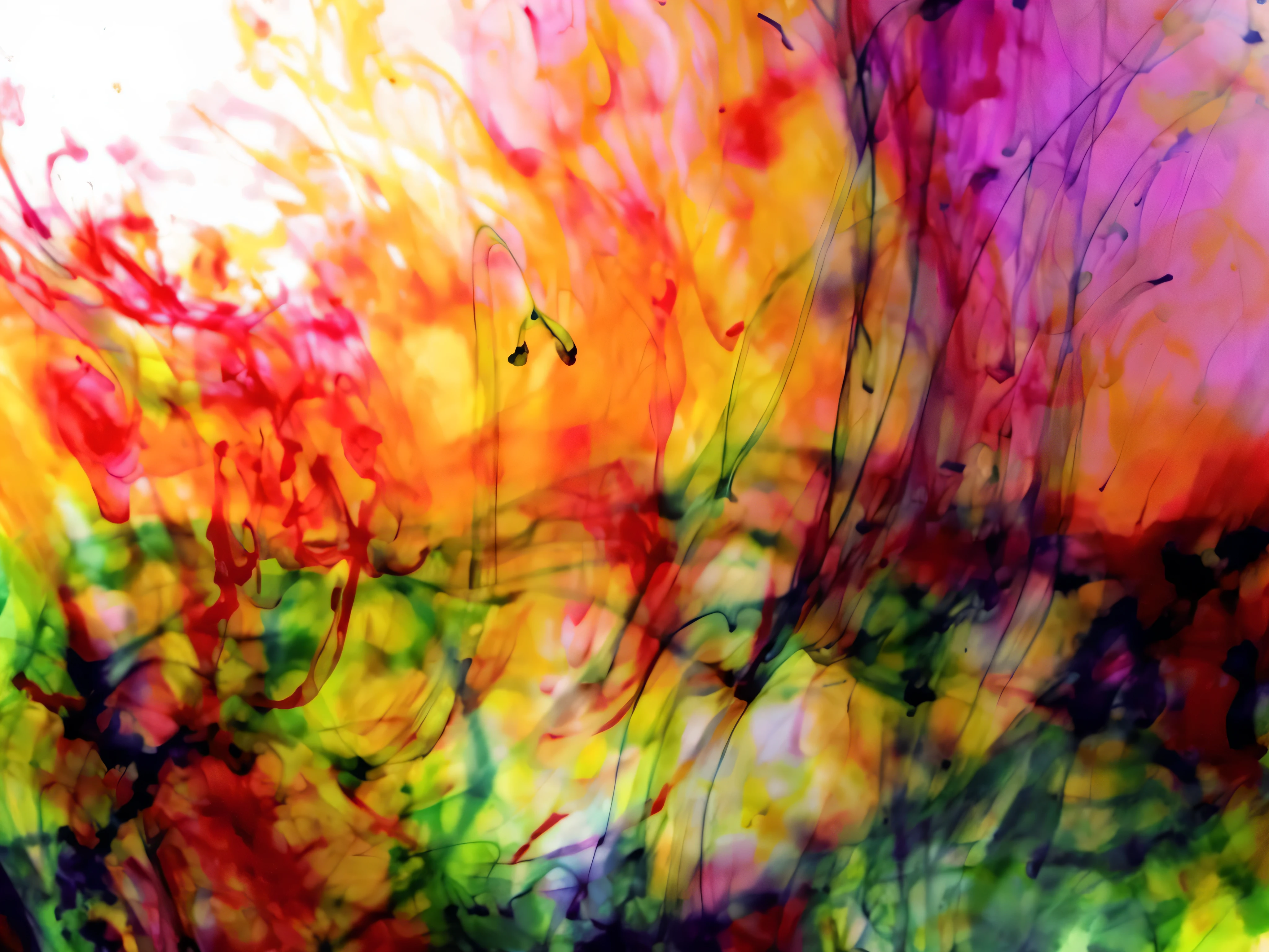 a close up of a colorful painting of water and ink, color ink explosion, 1 0 2 4 farben abstract, abstract colors, abstract colours, splashes of color, philosophical splashes of colors, organic acrylic flow art, synesthesia, vibrant expressive colours, intricate flowing paint, colorful acrylic, color explosion, tendrils of colorful light, colorful picture