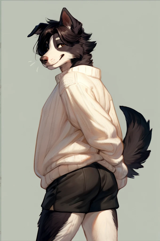By bebebebebe, by lostgoose, by goonie-san, solo, male, standing, white knit sweater, oversized sweater, booty shorts, (hair, snout), border collie, smiling, happy, happy tail