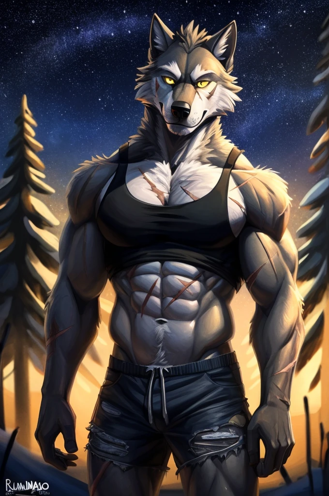 Tall_lanky_muscular_mature_wolf gray_furry_body yellow_eyes very_fluffy misty_breath snowy_forest starry_sky solo Masterpiece best_quality absurdres highly_detailed well_drawn_eyes anthro_only by_greasymojo by_runawaystride torn_tank_top torn_shorts scars portrait