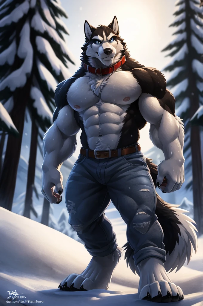 suggestive content, highres, super high resolution, beautiful details, beautiful eyes, depth of field, solo focus, detailed background, high quality, good lighting, high res, (((masterpiece))), 8k, depth of field, ray tracing, detailed background, great lighting, detailed face and body, detailed lighting, [cinematic lighting], [backlighting], [detailed ambient light], [gray natural lighting], [sharp focus], (solo),
Steele_\(Balto\), Steele, (Male Anthro (Alaskan_Malamute) furry), Husky, Canine, Canis, Canid, Wolf, tail, (thick fluffy tail), big paws, toe claws, big ears, tall ears, handsome, masculine, muscular, big muscle, muscular legs, sweat, blue eyes,
(wearing collar, (jeans)),
outside, nature, (snow), looking at viewer,
(detailed fluffy fur, fluffy, detailed fur):1.4, realistic fur, photorealistic fur, ((long fur)),
by wfa, by takemoto arashi, 