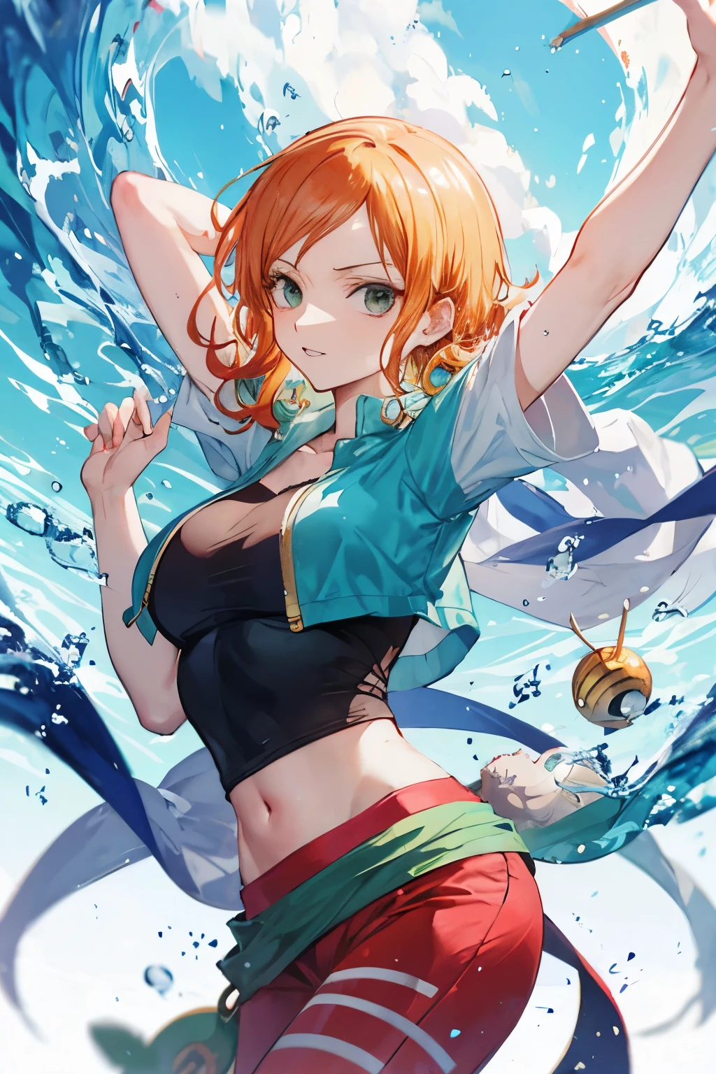 one piece nami robin