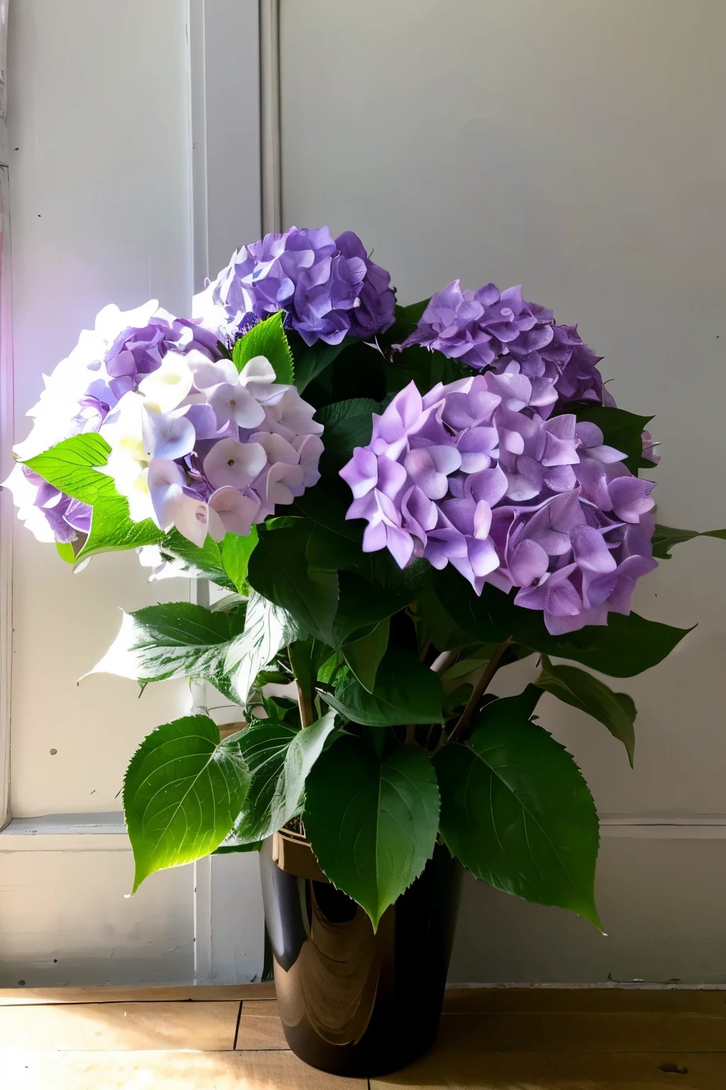 hydrangea　ephemeral　Purple