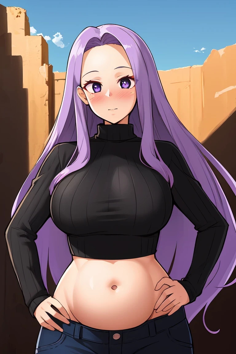 1 girl, black sweater, blue null, blush, chest, cloud, contrasting, cowboy shot, crop top, Day, (big belly), amount,  put your hand on your waist, large chest, long hair, long sleeve, looking at the viewer, abdomen, belly button, outdoor, pants, purple eyes, purple hair, ribbed sweater, null, alone, sweater, turtleneck sweater, very long hair, medusa fairy, ((perfect face)), (mature face:1.4), (beautiful face:1.15), fine eyes, very deep eyes, messy hair, finger details, 
(masterpiece), (highest quality), highest quality, High resolution, 8K, very detailed, digital art, (super detailed background:1.2), (realistic background),  (intricate details), award-winning, very detailed, (figure:1.1), 
(cinematic lighting), soft lighting,