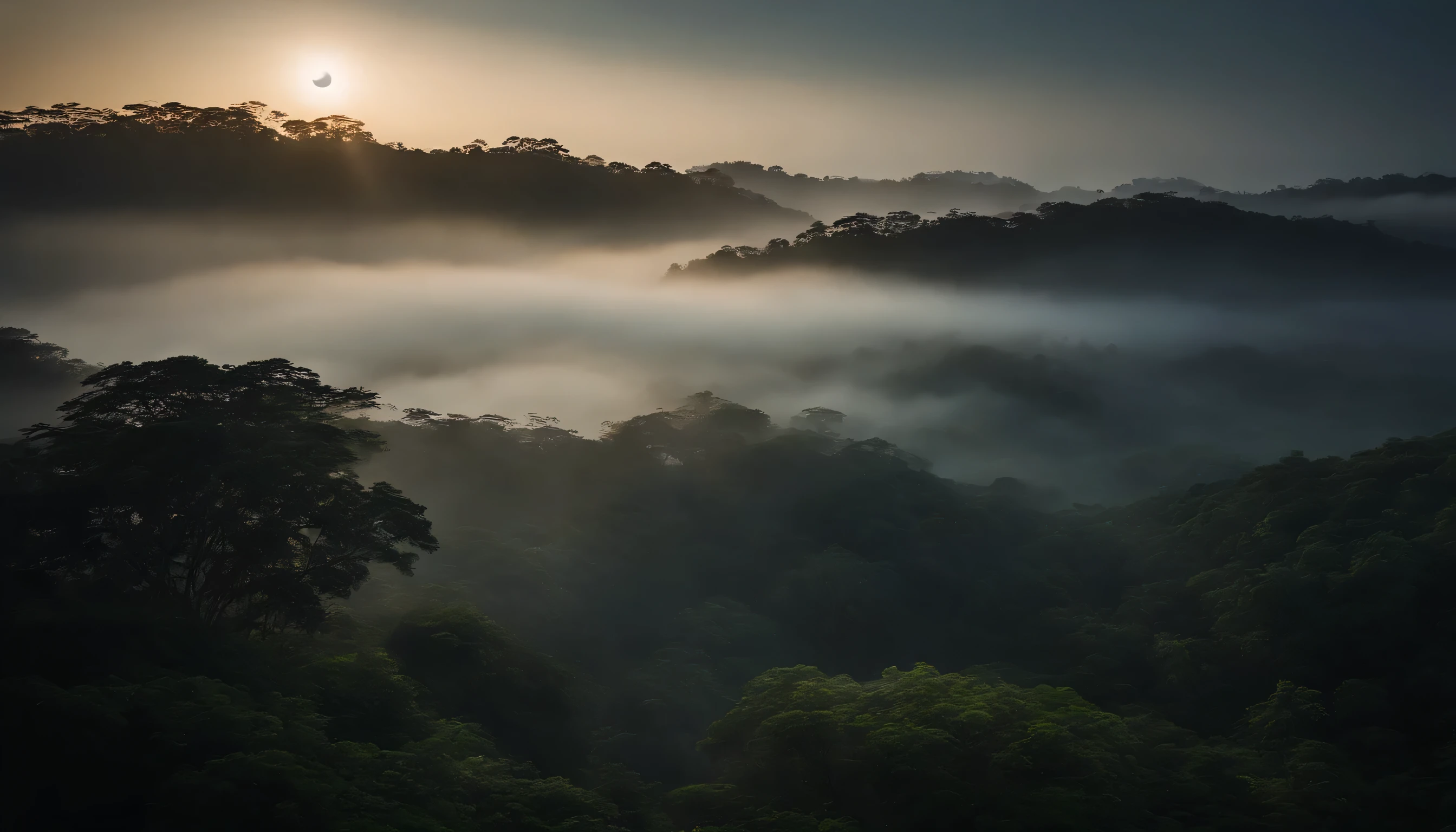 dim moonlight、fog and mist are trees々Cinematic drone shot scene of jungle-covered landscape