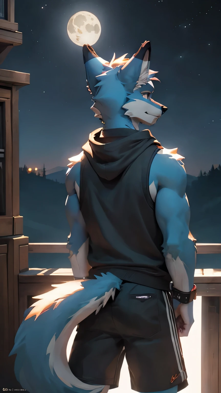 light_blue fox anthro furry odd_eye a_male no_hair black_sleeveless_hoodie black_clothes short_stature alone black_shorts anime shota pink_eye_and_red_eye muscles midnight moon moutains no_lakes outside big_tail mysterious cute earring_in_right_ear_only looking_for_moon center wristband choker photorealistic country_side back_view turning_around reaching_out_a_hand