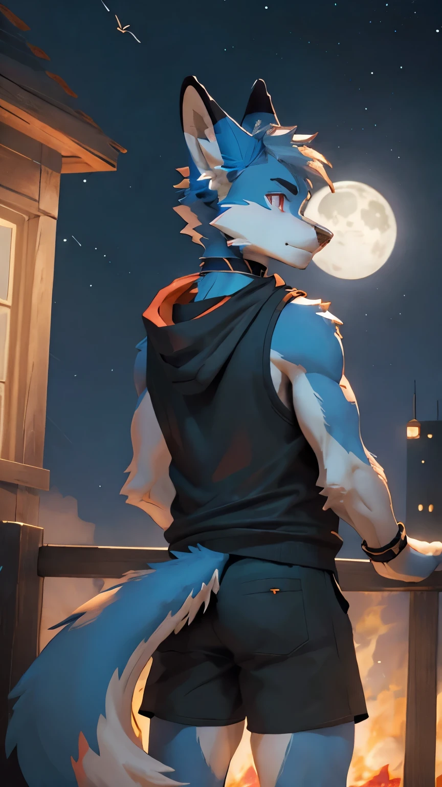 light_blue fox anthro furry odd_eye a_male no_hair black_sleeveless_hoodie black_clothes short_stature alone black_shorts anime shota pink_eye_and_red_eye muscles midnight moon moutains no_lakes outside big_tail mysterious cute earring_in_right_ear_only looking_for_moon center wristband choker photorealistic country_side back_view turning_around reaching_out_a_hand
