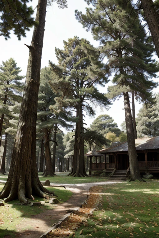 An ancient forest with century-old trees and a carpet of fallen leaves.