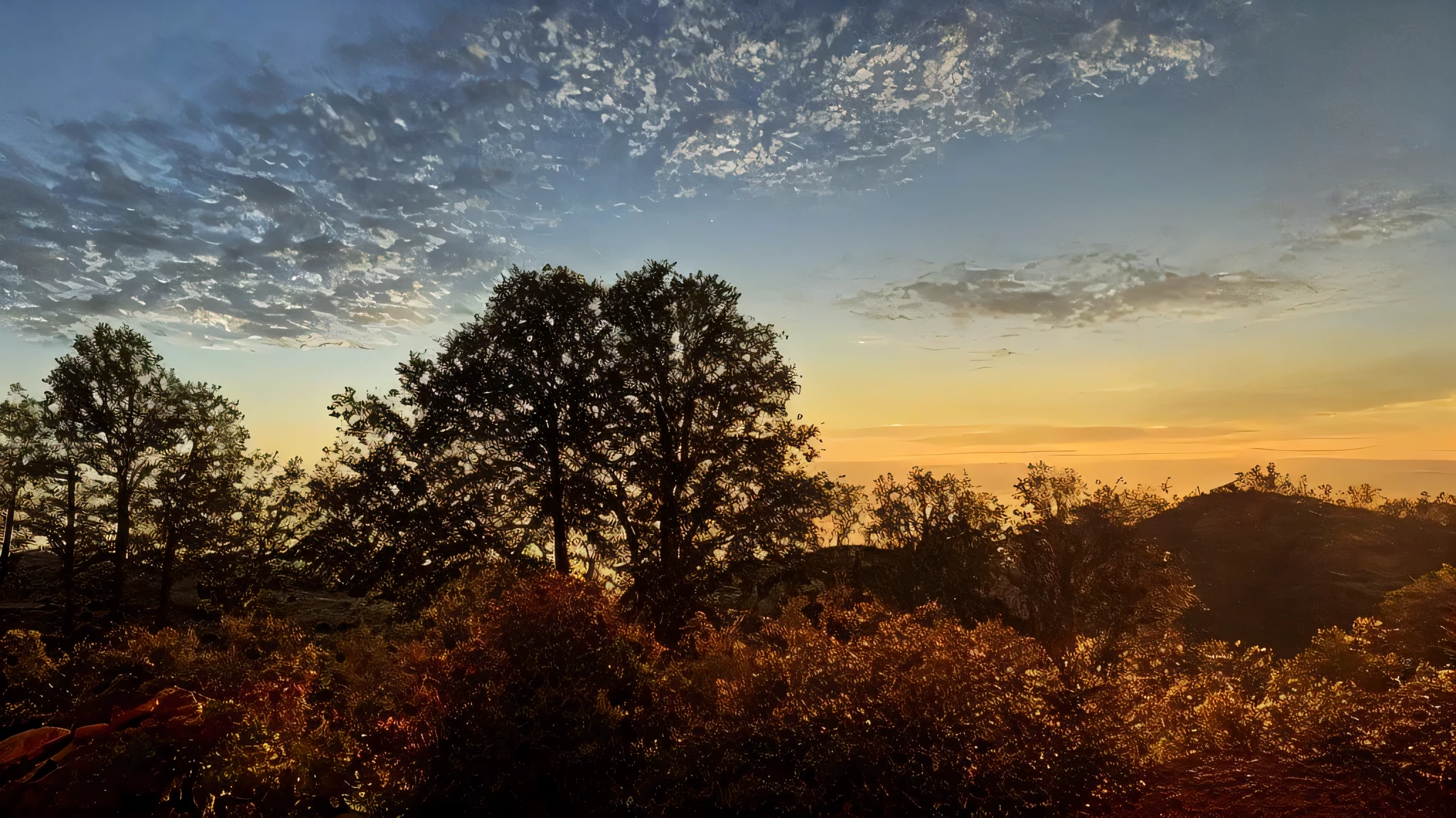nature growing up majestic wide々 magic hour