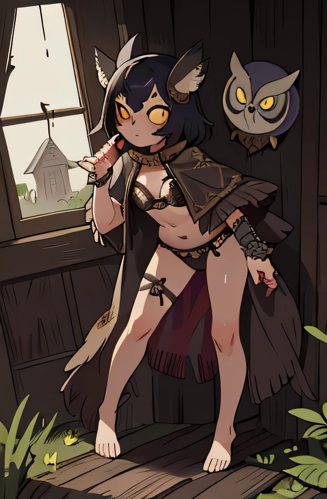 High quality, detailed, women, full body, dark shadows, 18, abandon house, wet, owl cult costume, tattered poncho, masquerade mask, seductive, tattered feather bra, tattered loin cloth