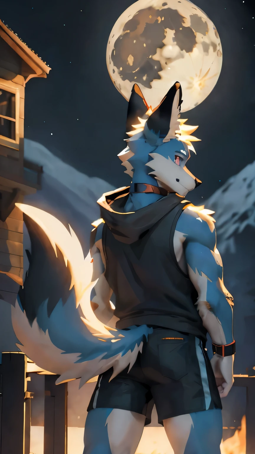 light_blue fox anthro furry odd_eye a_male no_hair black_sleeveless_hoodie black_clothes short_stature alone black_shorts anime shota pink_eye_and_red_eye muscles midnight moon moutains no_lakes outside big_tail mysterious cute earring_in_right_ear_only looking_for_moon center wristband choker photorealistic country_side back_view turning_around scars
