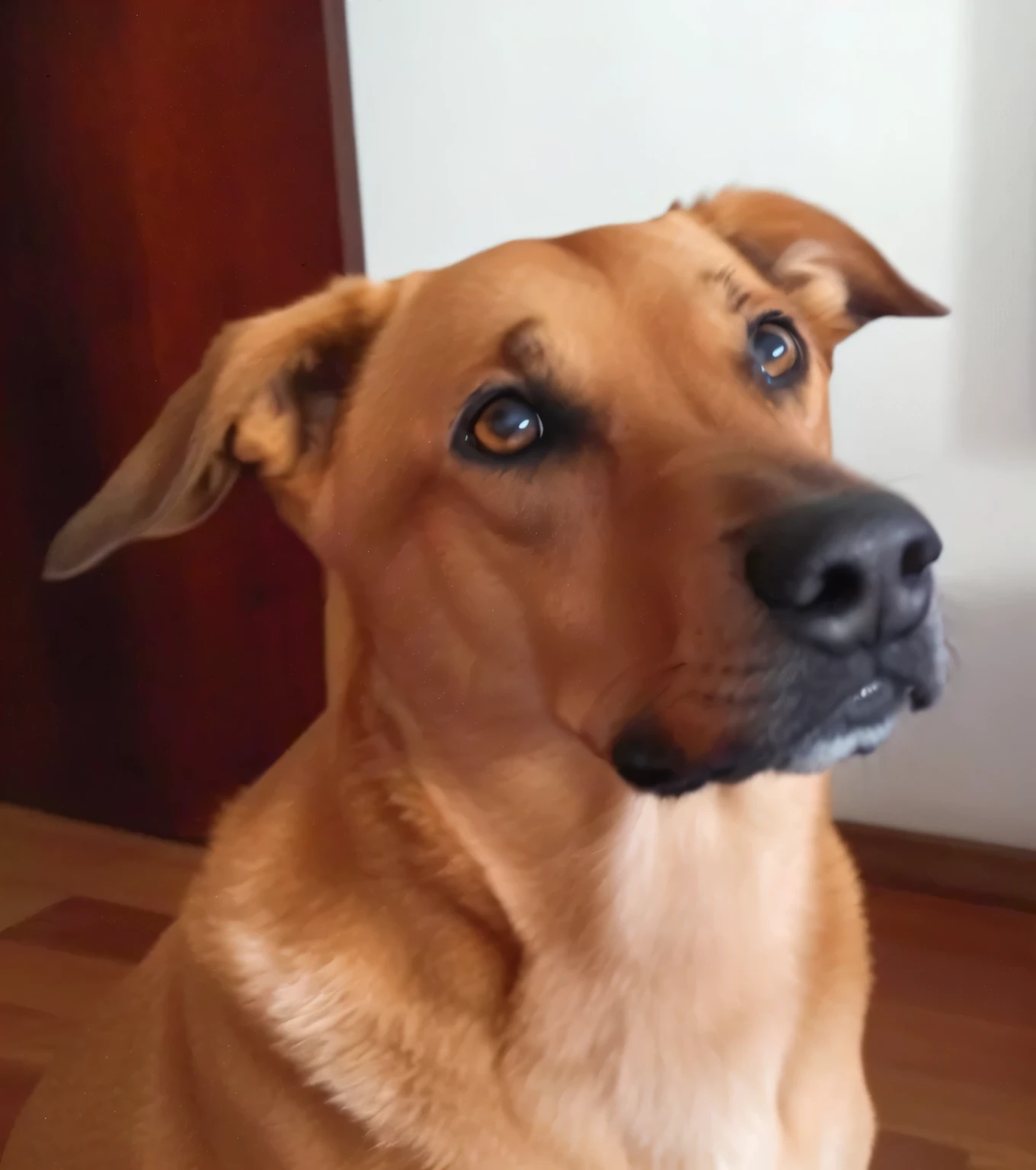 Happy birthday to a happy fur baby, 4K HD resolution, imagem de alta qualidade, imagem premiada, Imagem da National Geographic com fundo granulado, imagem premiada, imagem premiada, hiperrealista, high resolution, muito detalhado, imagem premiada, muito detalhado, Qualidade HD