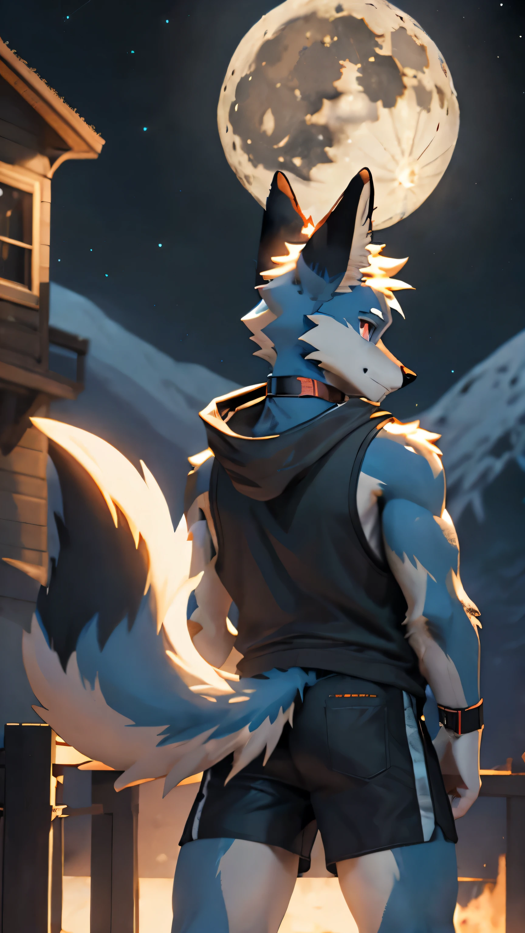 light_blue fox anthropo furry strange_eye a_male number_black hair_No sleeve_Hoodie Black_short clothes_身長だけin黒人_shorts anime shota pink_eye_and_red_eye muscles midnight moon moutains no_big outdoor lake_tail mysterious cute earring_in_right_ear_only looking_for_moon center wristband choker photorealistic country_Side Back_view turning_around the scar