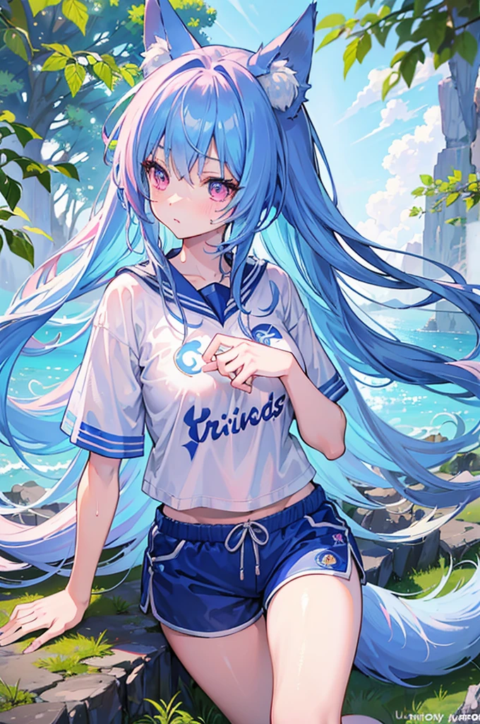 high quality, masterpiece, super detailed, 1 名girl, extremely detailed faces,fox ears, long blue hair messy，Double tail，pink eyes，Caring for students，girl，huge ，white sports shorts，White short sleeves，Clothes soaked with sweat，Put your hands on your chest，Bright meadow，wilderness，