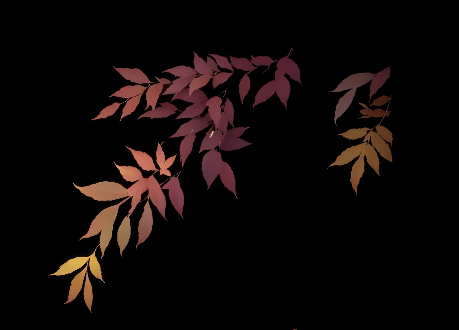 Leaves