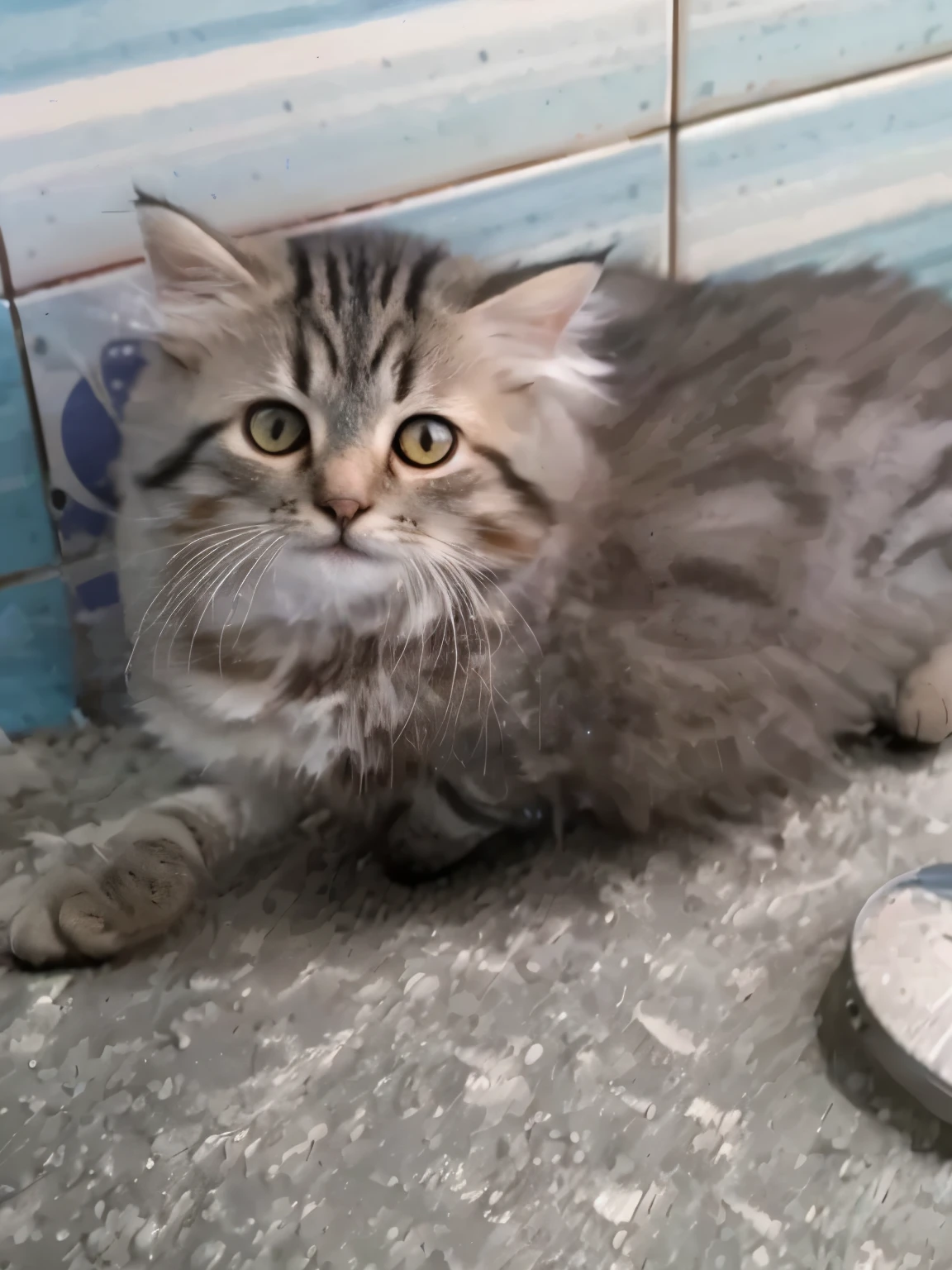 cat, journey from earth to moon, using rocket, galaxy