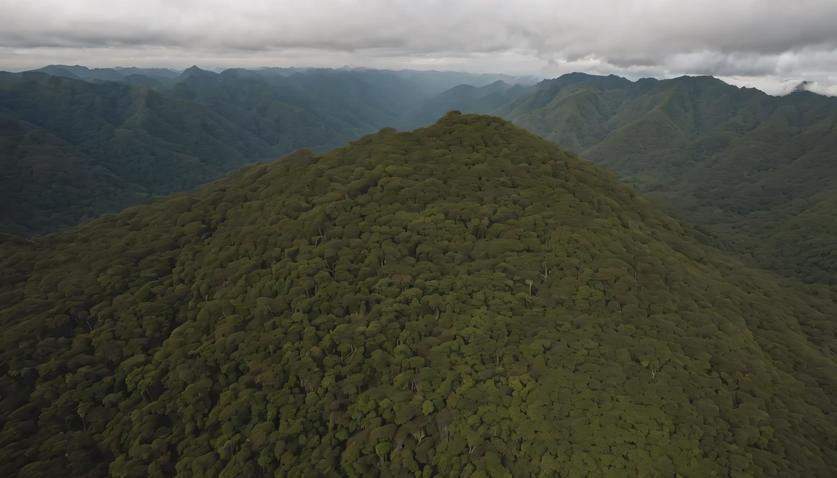 (((PERPENDICULAR AERIAL VIEW OF THE AMAZONIA JUNGLE AT 8000 METERS HIGH, PERPENDICULAR AERIAL VIEW OF THE AMAZONIA JUNGLE AT 8000 METERS HIGH))), (((VISTA DESDE CENITAL DESDE DRONE A 8000 METROS))) midday light