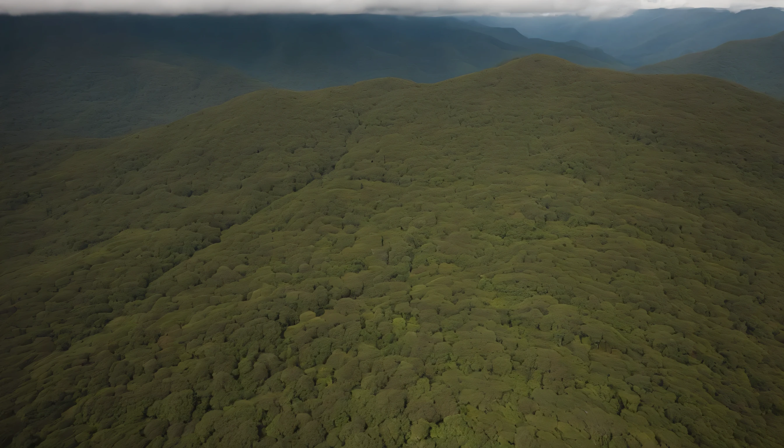 (((PERPENDICULAR AERIAL VIEW OF THE AMAZONIA JUNGLE AT 8000 METERS HIGH, PERPENDICULAR AERIAL VIEW OF THE AMAZONIA JUNGLE AT 8000 METERS HIGH))), (((VISTA DESDE CENITAL DESDE DRONE A 8000 METROS))) midday light