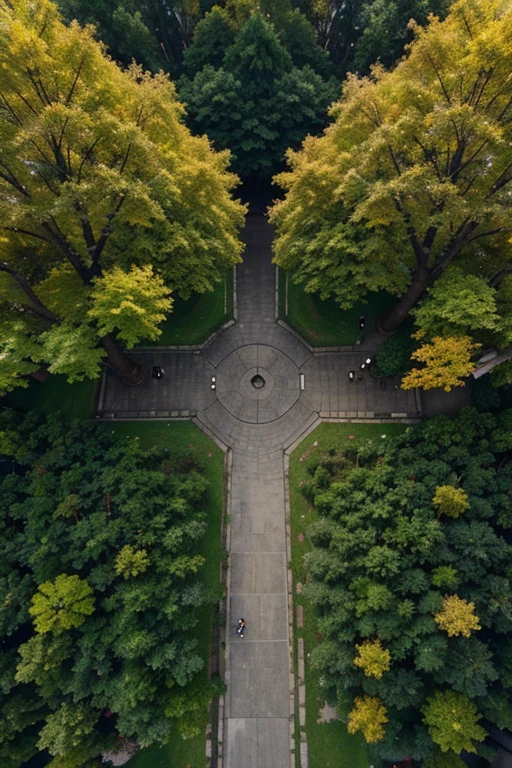drone view, perspective from above vertically, square with cobblestones and a large leafy tree with yellow leaves in the center, people walking, dogs, rainy day, fine rain, ultra details