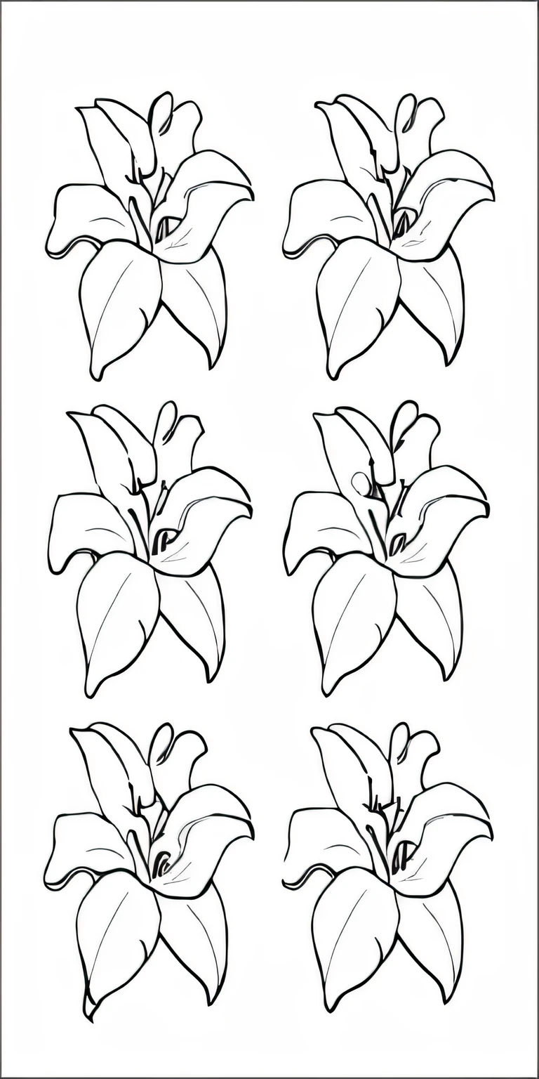 flower coloring pages for kids, lilies, lillies, colouring - in sheet, lily flowers, lily petals, template sheet, lily flower, black outlines, detailed flowers, front side view full sheet, big lilies, patchy flowers, lily, white lilies, coloring book outline, flower, flower motif, large opaque blossoms, long petals, black and white color only