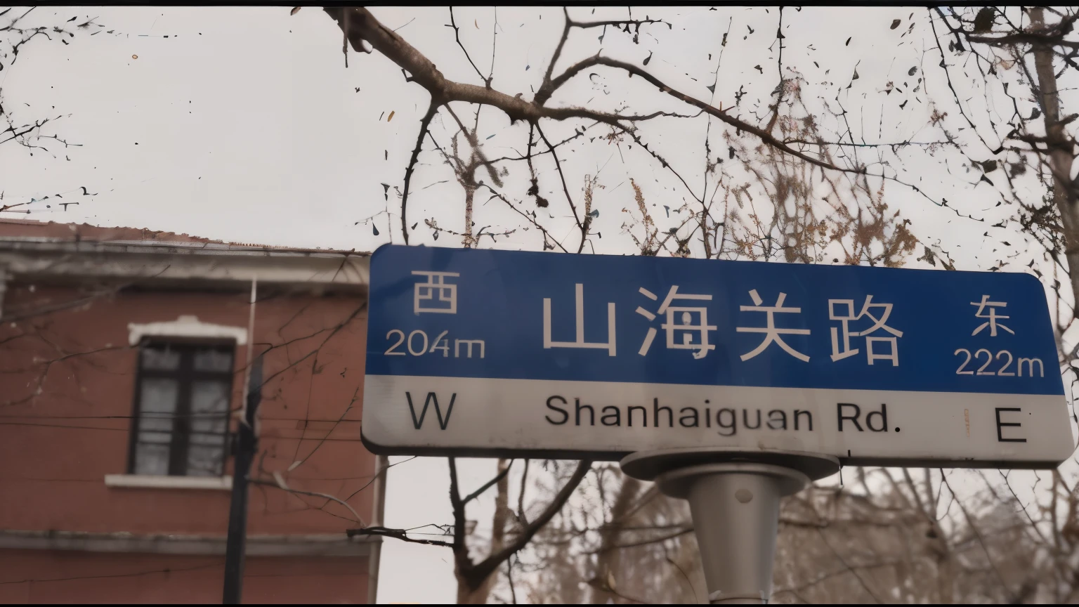 There is a blue street sign on the pole, nanquan, Shanghai, Changquan, inspired by Shi Zhonggui, 4 0 9 6, inspired by Zhang Zongcang, Shanghai city, Inspired by Wang Shimin, inspired by Zhang Shengwen, qiangshu, Inspired by Bian Shoumin, Covered with Chinese text, subtitle