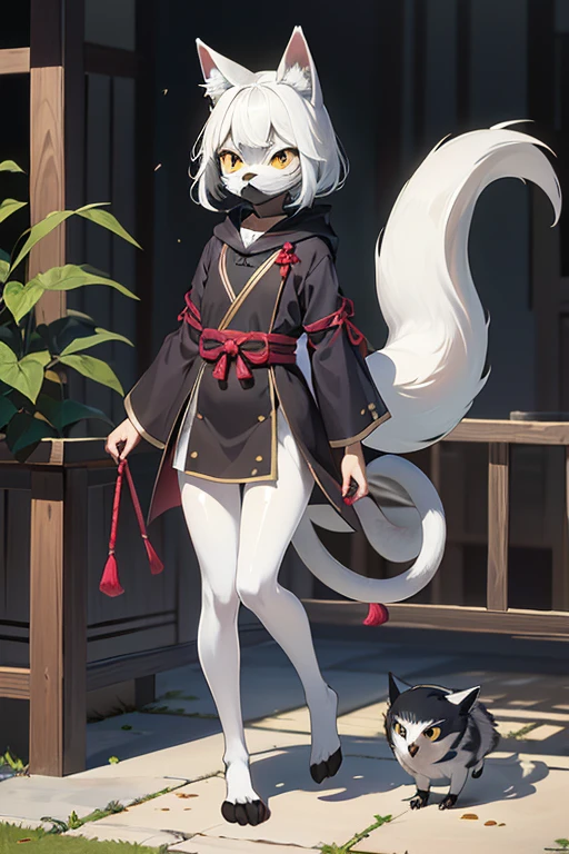 canidé,canin,mammifère,alcool,anthro,asian vêtements,boisson,black vêtements,black chaussure,nez noir,black chaussettes,yeux bleus,Rougir,cheek touffe,,habillé,vêtements,contexte détaillé,ivre,east asian vêtements,facial touffe,chaussure,vue de face,cheveux,vue en grand angle,tenir un objet,holding saké dish,à l&#39;intérieur,Japonais,Japonais vêtements,Jinbei \(vêtements\),regarder le spectateur,levant les yeux,mâle,mâle anthro,hors épaule,open vêtements,bouche ouverte,open sourire,plantigrade,queue de cheval,saké,saké bottle,saké dish,Ceinture,shoji,séance,sourire,chaussettes,seulement,Effusion,Effusion drink,Écarter les jambes,diffusion,intoxication à une substance,tatamis,touffe,jeune,jeune anthro,jeune mâle,AUBE,