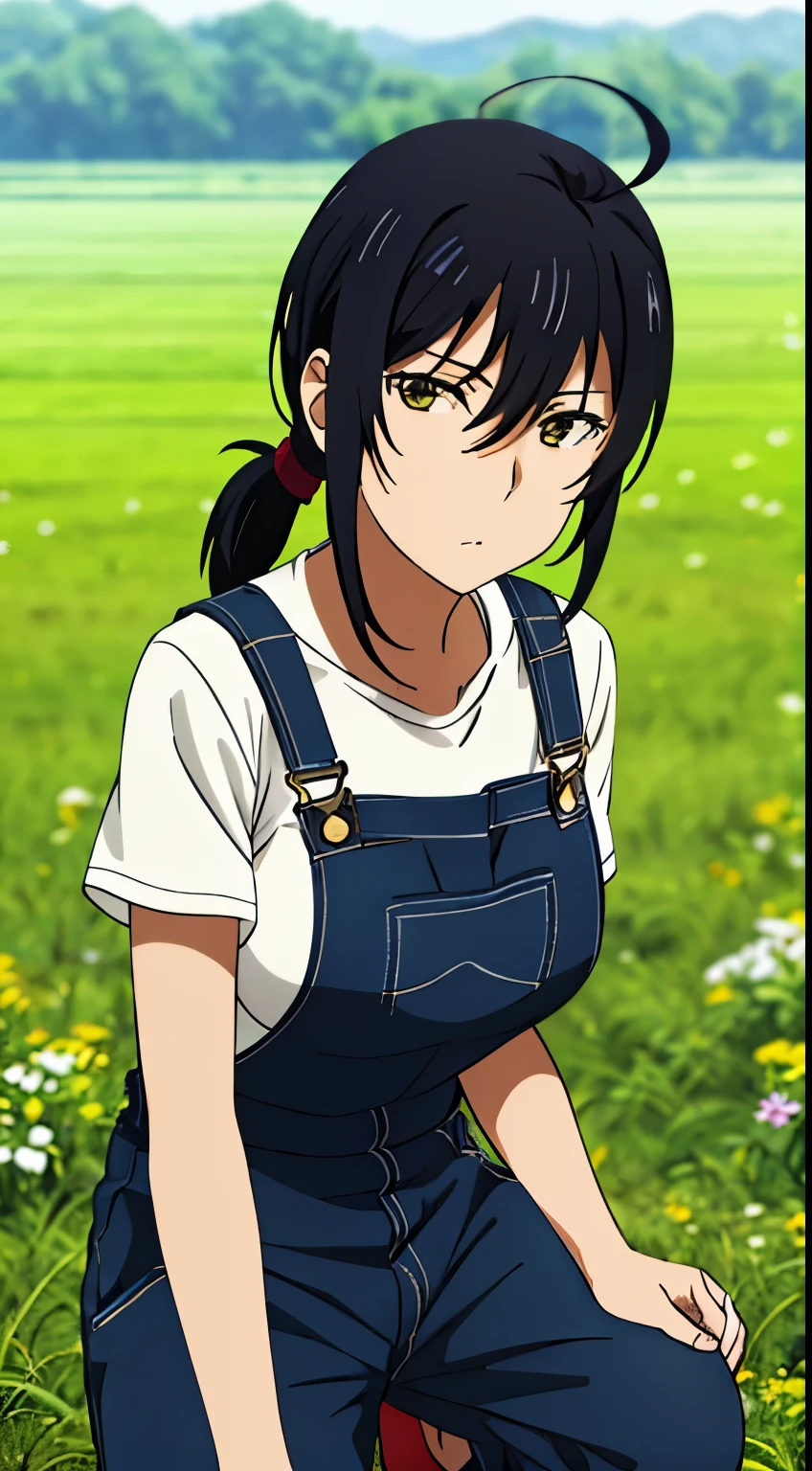 and,1 girl, 一with people, portrait, (big breasts), No expression, long hair, Ahoge, ((overalls,ponytail,field)),stylish pose, perfect quality, good quality, masterpiece, HDR, UHD,looking at the viewer, in the center of the image,Show up to your knees,１with people,