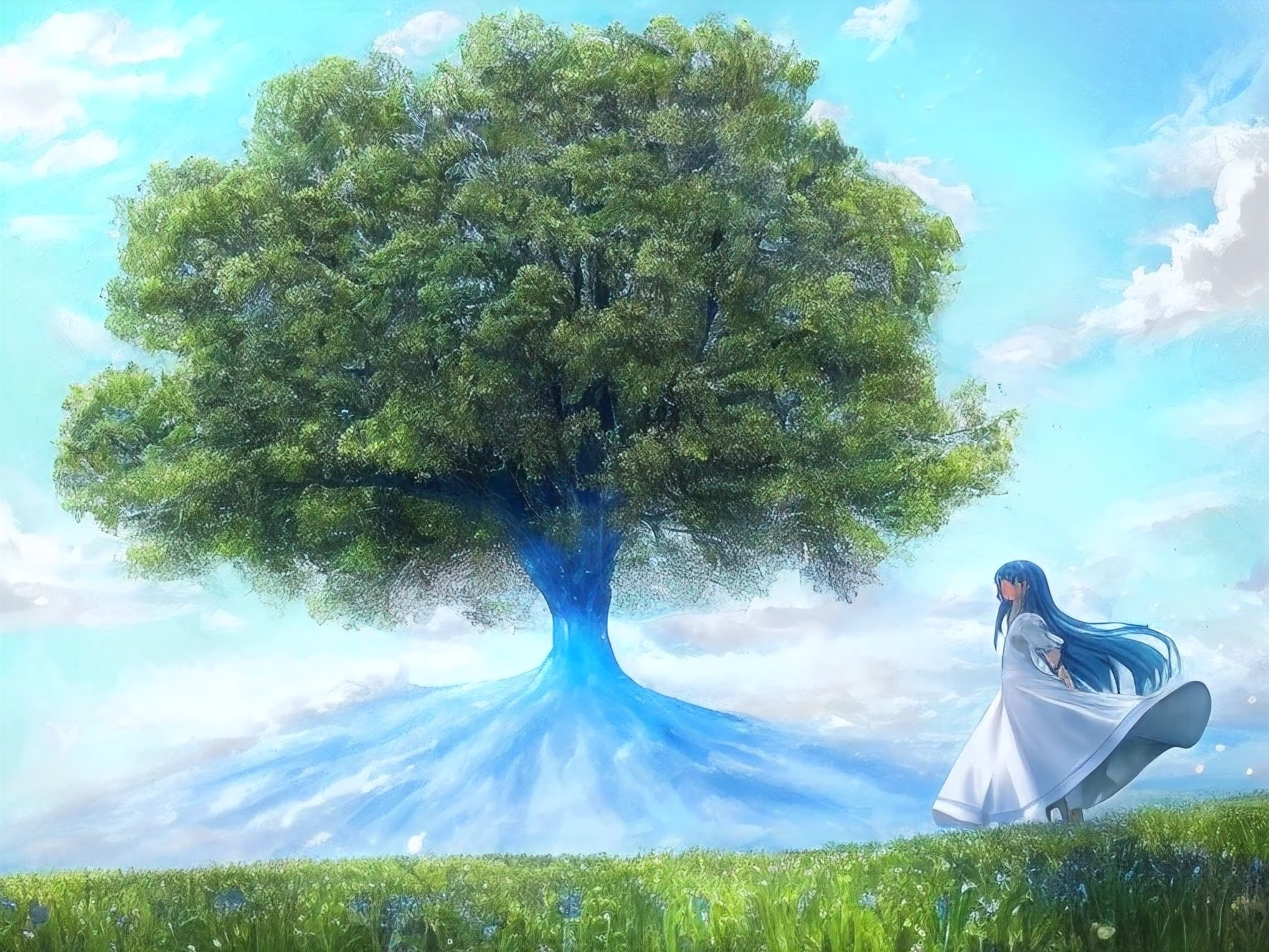Una pradera enorme con pastizales, a day with blue sky while a girl runs through the meadows in her beautiful white dress.