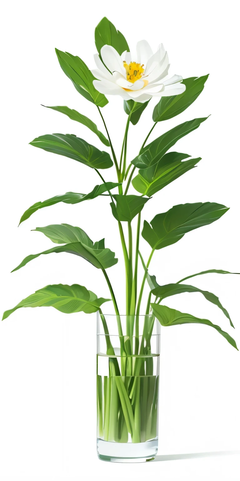 (best quality, masterpiece),  plant,flower，fashionable，illustration， white background, 