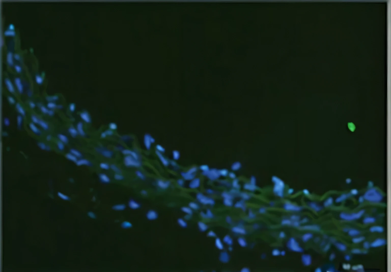 Mobile phone close-up,There's a green light on it, smooth bioluminescenceskin, bioluminescenceskin, Soft bioluminescence film, Glowing spores flying, [bioluminescence, Super-resolution microscopy, Super-resolution microscopy, bio-mechanical bioluminescence, bioluminescence