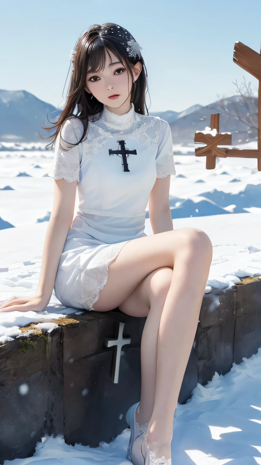 1 girl, realisitic, Raw photo, japanaese girl, (fullnude:1.9), (Beautiful and cute face), 18year old, bobhair, Black hair、(Crucifixion in the snowfield:1.5)、 (Binding limbs to the cross with barbed wire:1.5), not any dressed、(Very heavy snowfall:1.4 ), Snow accumulates all over the body、Snow pils up on the hair、(Burying a woman's foot in the snow:1.2)
Face sitting
Waiting to start