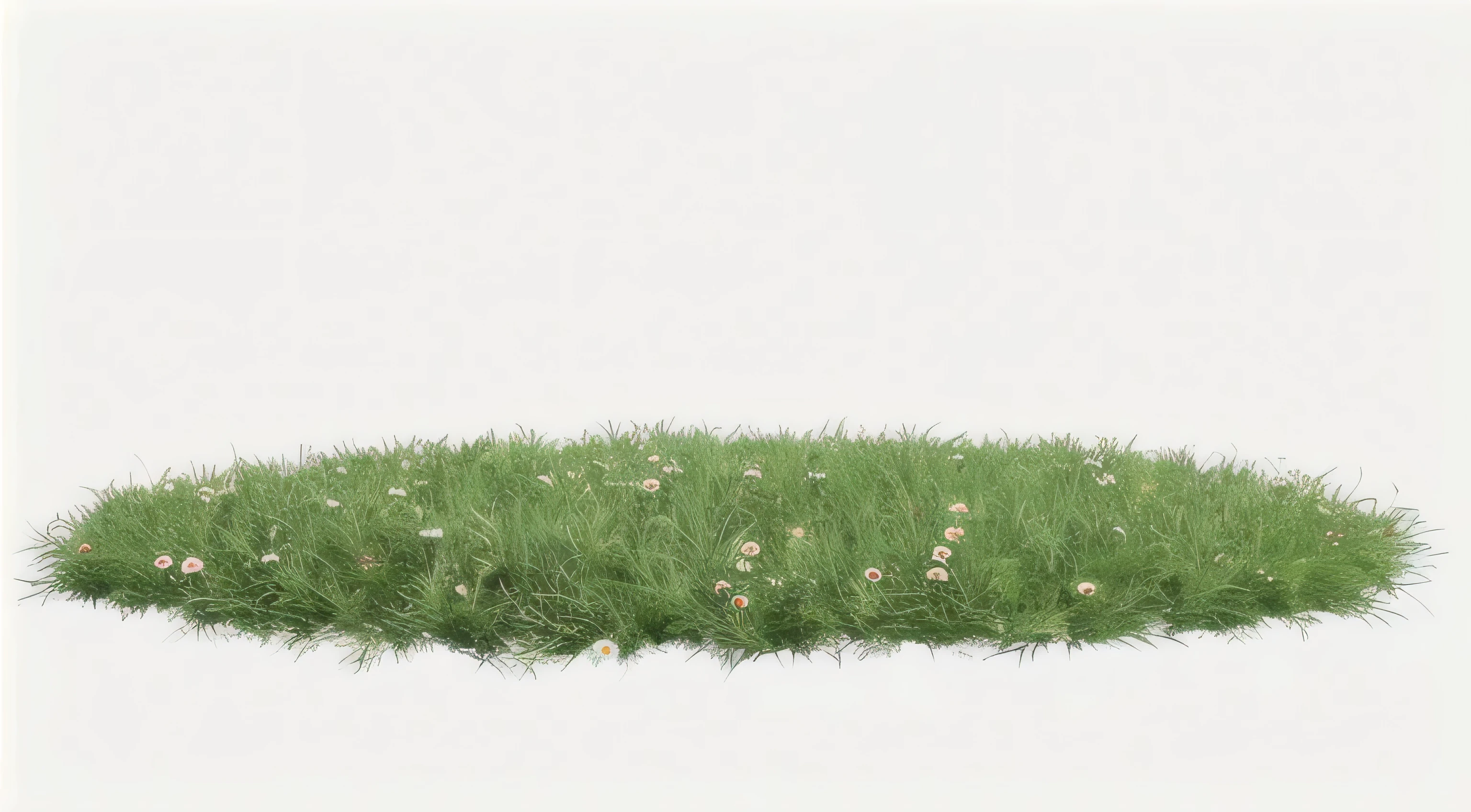 Grass and daisies on a white background, realistic Grass, field with Grass and flowers, Grass and flowers, Grass surrounding it, detailed Grass, The ground is very detailed, Grass texture material, Grass - like, Grass, without green Grass, Grass landscape, plants and Grass, Grass field, green Grass, Grass texture, isolated Backdrop, High resolution super detailed, ground detailed