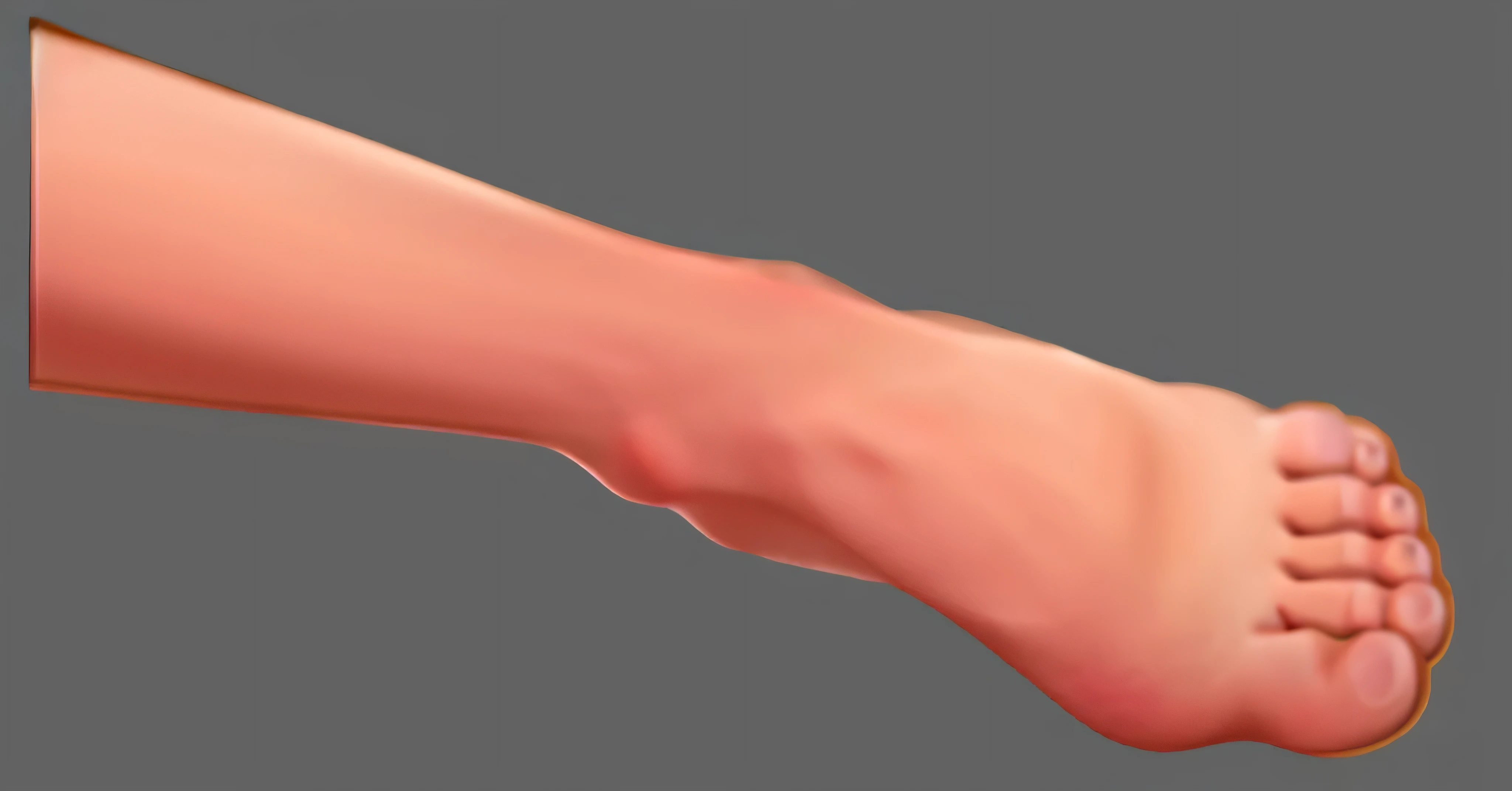 masterpiece,foot