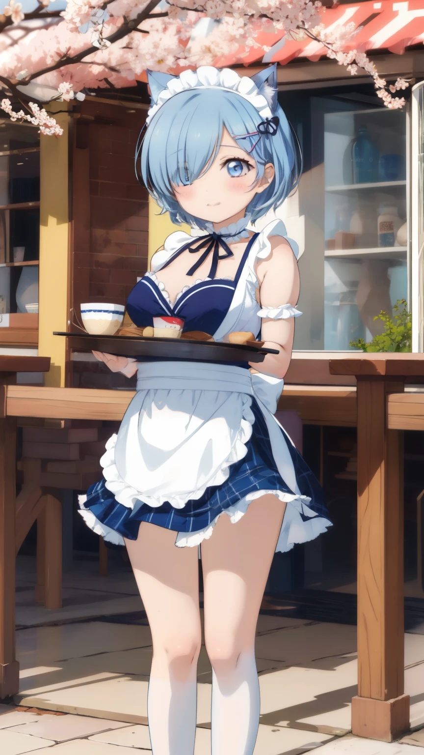 Rem from Re:Zero、light blue hair、short hair、table top、High resolution、many girls multiple girls、large crowd、lots of cute girls、big and full breasts、naughty body、See-through、throw、、whole body、Are standing、Look up at me、confused face、blush、embarrassing、Excited、white breath、black pantyhose、female shape&#39;Private parts are clearly visible、I can see your nipples、white shirt、navy check skirt、micro mini skirt、very short skirt、bakery、Outside the store、spring、Cherry blossom trees、SakuraFubuki、Many people々々々々々々、in the crowd、bare chest、show your chest、while holding the tray、place the chest on the tray、Upper grade、A lot of milk comes out from the nipples、Breast milk gushes from the nipple、cat ears maid clothes、blue gingham maid outfit、bangs that cover one eye、pink hairpin、whole bodyポートレート、whole bodyを写す、Pictures up to the toes