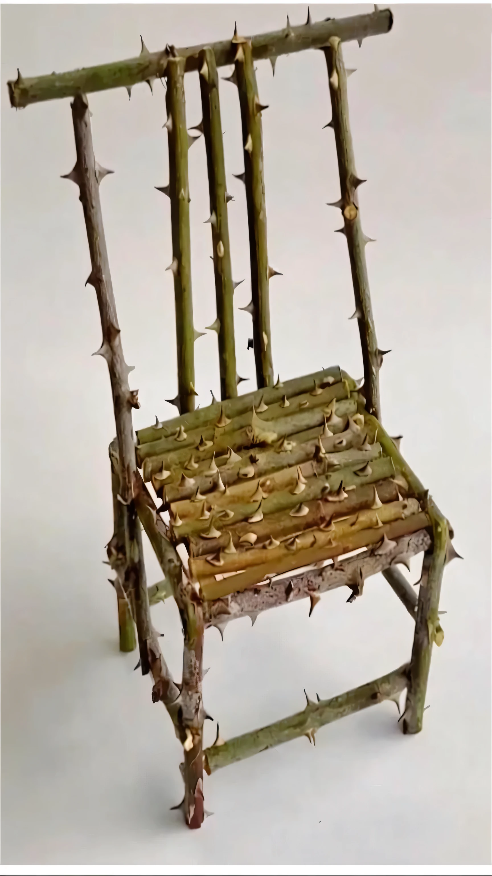 there is a small Chair made out of sticks and sticks, Made from cactus spines, thorns and vines. detailed, vines and thorns, thorns everywhere, thorns, Chair, broken throne, throne, inspired by Sarah Lucas, sitting position, Furnished with fairy tale furniture, There are thorns everywhere, Inspired by Matthias Jung, wood Chair, roots and thorns, single Chair, giant thorns