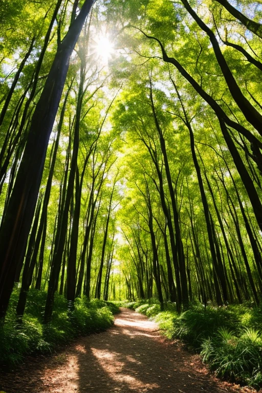 Following the given style, here's my attempt at completing the prompt words:

A path through a eucalyptus forest, golden hour, hyper-realistic, 8k quality, photography

Imagine a serene path, meticulously winding its way through a dense eucalyptus forest, bathed in the warm hues of the late afternoon sun. The golden hour dramatically illuminates the towering eucalyptus trees, casting long, intricate shadows that dance upon the forest floor. Each tree trunk displays a unique, intricate bark texture, while the leaves shimmer with vibrant, emerald green tones. The sunlight filters through the foliage, casting a