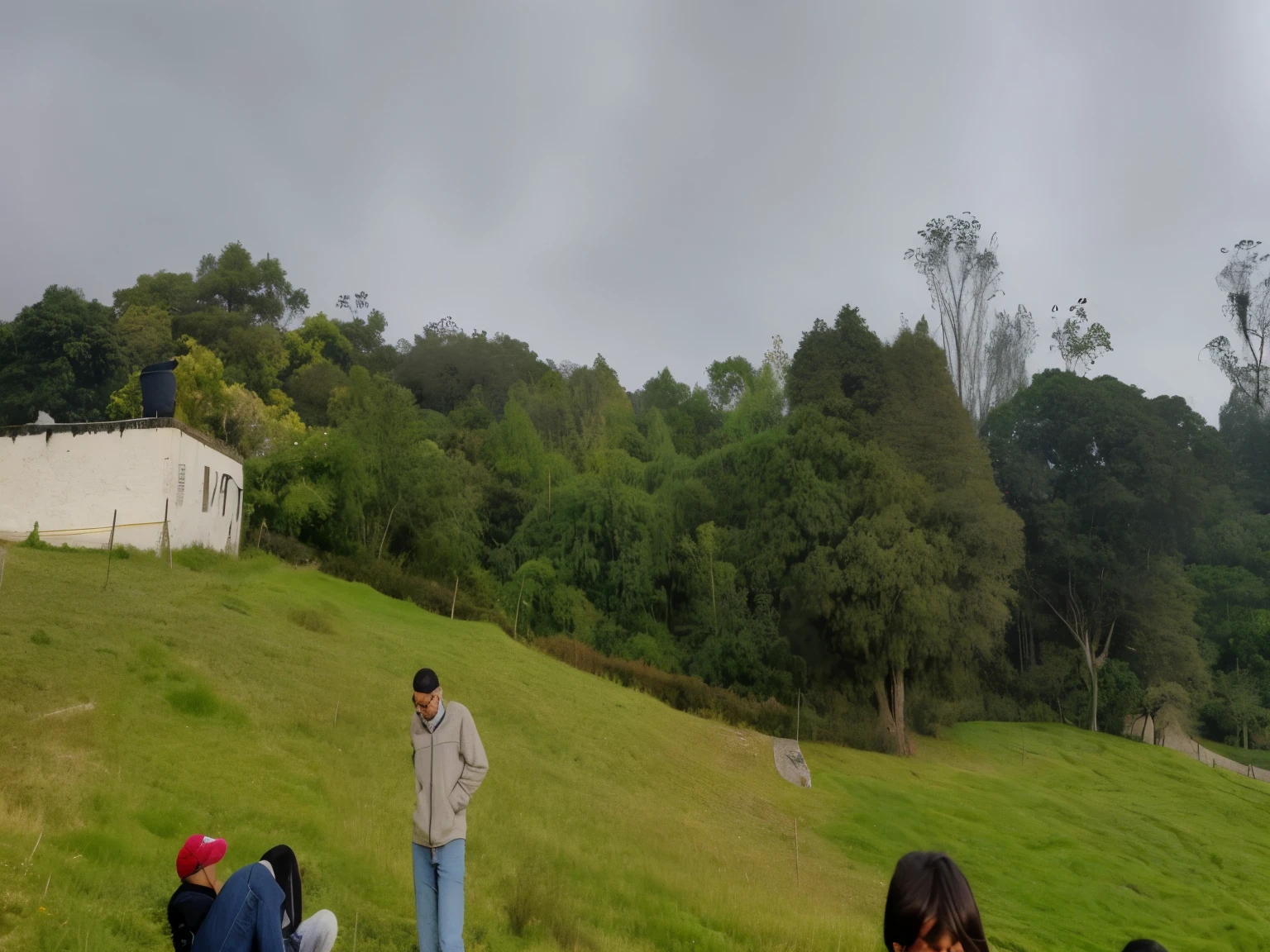 Several people are sitting on the grass and watching a kite fly., colinas al fondo, bosque nuboso en el fondo, en una colina verde, mountain in the background, Prado al fondo, Vista desde la distancia, standing en una colina, en una colina verde between trees, Cloudy day, en una colina, parque en el fondo, selvas al fondo ME PUEDES QUITAR LAS PERSONAS Y PONER LA IMAGEN ANIMADA